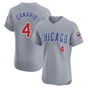 Men's Chicago Cubs Alexander Canario Elite Gray Road Jersey